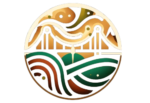 pulsebridge.in